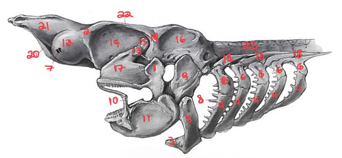 <p>1</p>