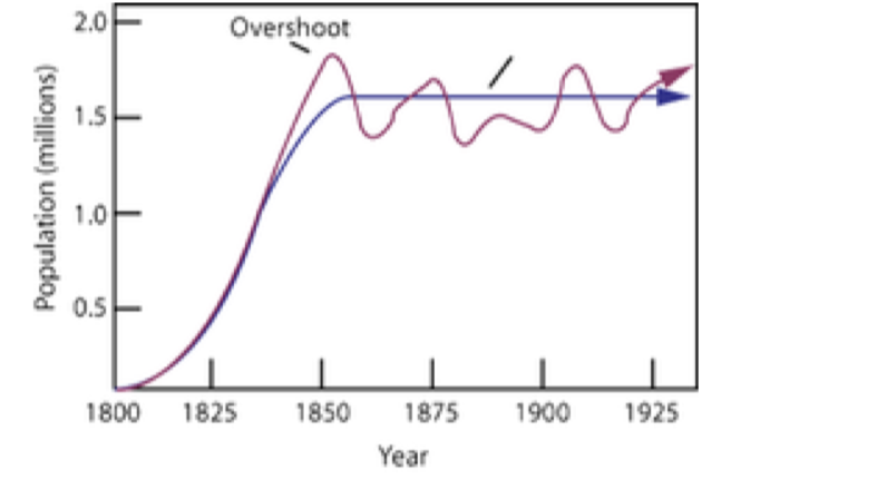 <p>the largest population that an environment can support at any given time</p>