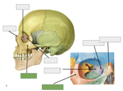 <p>Overview: this is the</p>