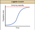 <p>This incorporates density-dependent factors by accounting for carrying capacity</p>