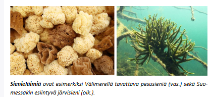 <p></p>