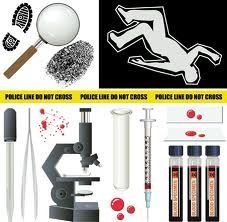 <p>data or observations that support your claim.</p>