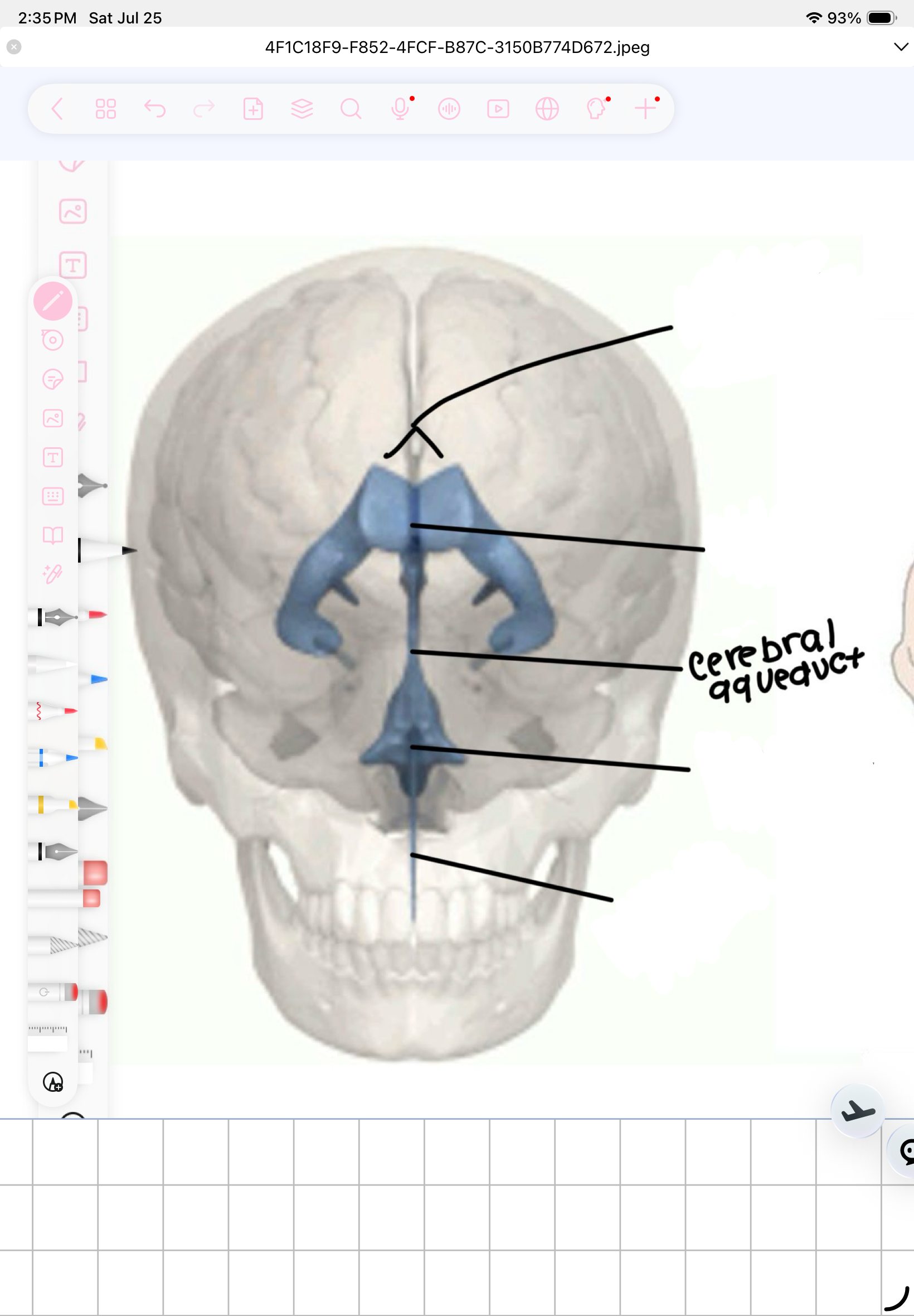 term image
