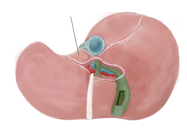 <p>Name the structure</p>