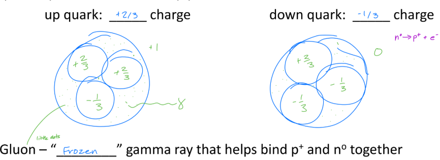 <ul><li><p>particles that make up p<sup>+</sup> and n<sup>o</sup></p><ul><li><p>up quark: +2/3 charge</p></li><li><p>down quark: -1/3 charge</p></li></ul></li><li><p>Gluon – “Frozen” gamma ray that helps bind p+ and no together</p></li></ul><p></p>
