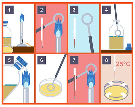 <p><span>procedures carried out to prevent the contamination of pure cultures of microorganisms</span></p>