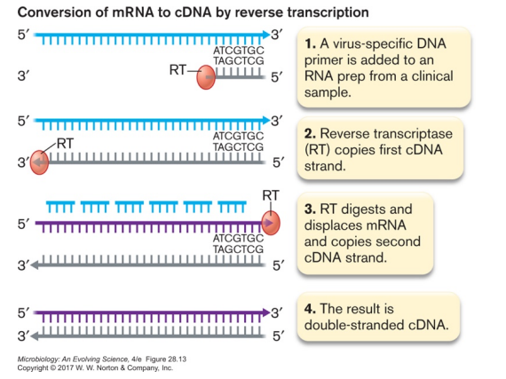 <p>Nucleic Acid Methods (NAAT = Nucleic Acid Amplification Tests)</p><p>Used to detect RNA from pathogen, especially for RNA viruses (Covid tests)</p>