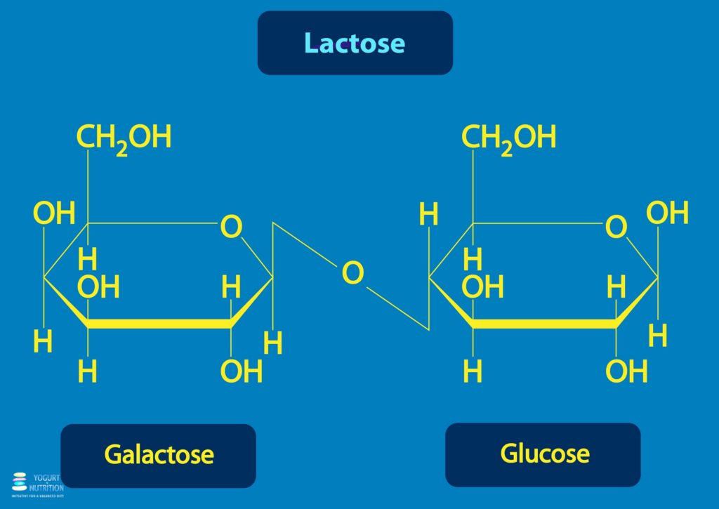 <p>What is lactose?</p>