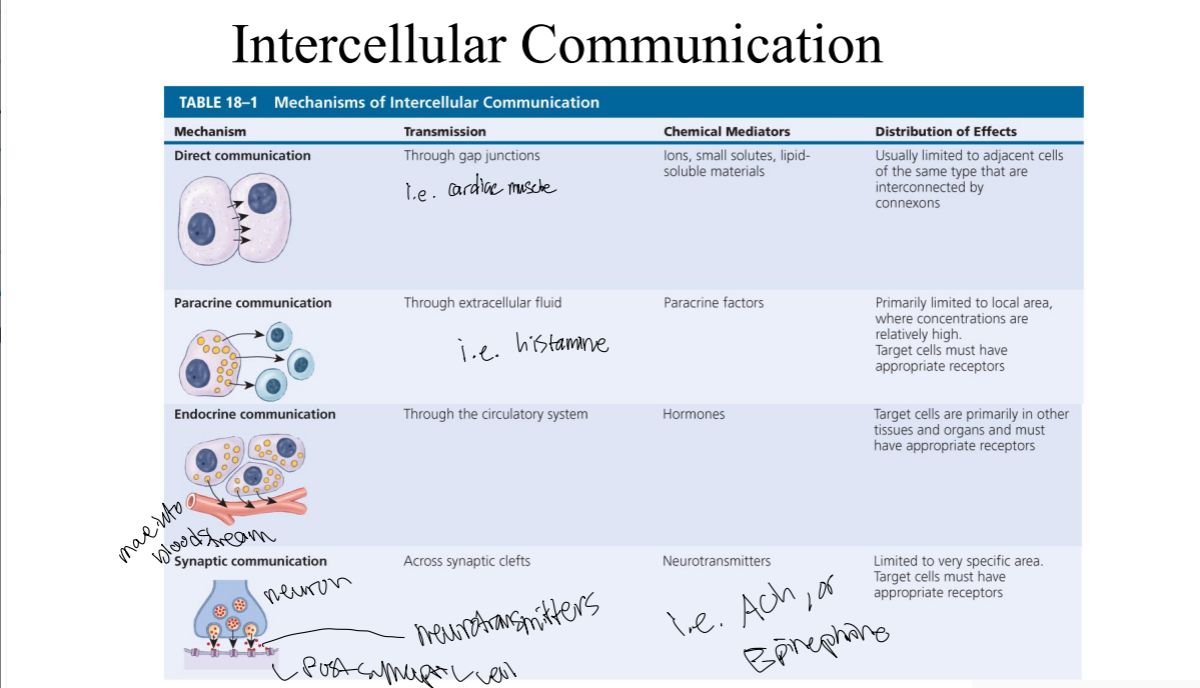<p>What are the 4 main pathways of intercellular communication by chemical messages?</p>