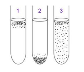 <p>what kind of bacteria is growing in thioglycolate broth tube 2 </p>