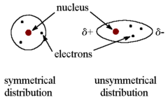<p>Even noble gas atoms and molecules that are nonpolar exhibit weak intermolecular attractions. In any atom or molecule, the electrons are in constant motion. As a result, at any instant, the electron distribution may be slightly uneven. This momentary, uneven charge creates a positive pole and a negative pole. This temporary dipole can then induce a dipole in an adjacent atom or molecule. The two are held together for an instant by the weak attraction of the temporary dipoles. These are also called London dispersion forces. These forces act between ALL atoms and molecules, but are the ONLY force acting between noble gas atoms or nonpolar molecules.</p>