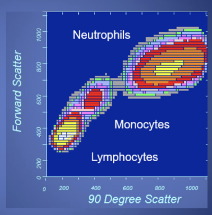 <p>What do <strong>Granulocytes</strong> look like on a Flow Cytometry Plot?</p>