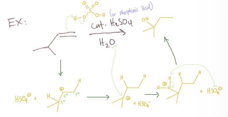 <p>alkene takes an H from catalyst → carbocation rearranges → water attaches to carbocation → catalyst takes an H</p>