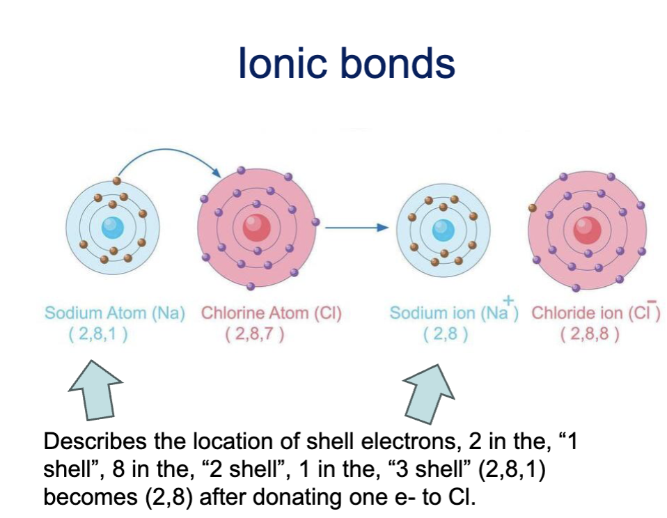 <p>atoms in this type of bond donate or take on electrons</p><p>result in a stable outer shell of each atom</p><p>occur between particles that are charges (ions)</p><p>typically is a solid until dissolved into solution: ie table salt, sodium chloride, NaCI, a white solid until dissolved into a solvent then it vanishes from sight.</p>