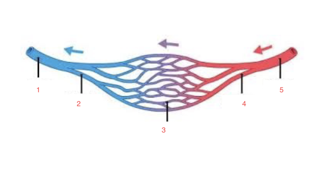 <ol start="3"><li><p></p></li></ol><p></p>