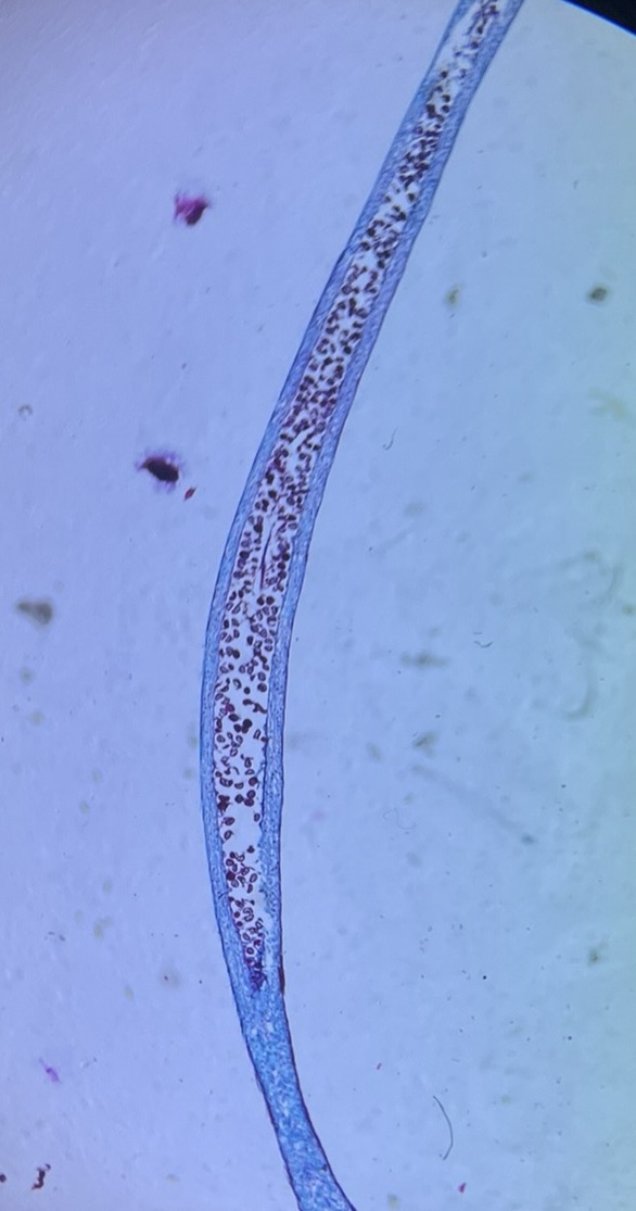 <p>What is this?</p>