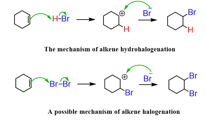 <p>halogen  + alkene/alkyne ; addition</p>