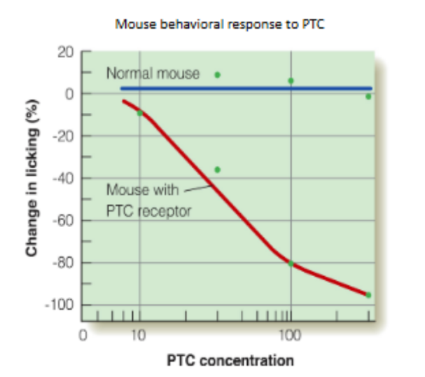 <ul><li><p>did genetic cloning to see if mice could be created to have the human receptor that responds to PTC</p><ul><li><p>usually, mice don’t have this receptor OR respond to PTC</p></li></ul></li><li><p>was successful, where cloned mice that had the human receptor for substance PTC</p></li></ul><div data-type="horizontalRule"><hr></div><p>overall: evidence suggests that taste involves BOTH <u>specificity</u> &amp; <u>distributed coding</u></p>