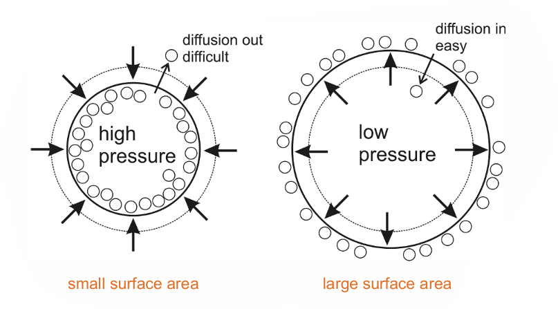 <p>caused by <strong>rectified diffusion:</strong></p><ul><li><p>at high pressure phase: bubble is pushed together → SA decreases → high pressure inside the bubble → less diffusion of of gas  out of the bubble </p></li></ul><p></p><ul><li><p>at low pressure phase: gas in bubble is pulled apart → SA increases → less pressure inside the bubble → more diffusion of gas in the bubble → bubble grows</p></li></ul><p></p><p>total pressure of fluid surrounding the bubble =$$ambient~fluid~pressure(P_O)+acoustic~pressure (P)$$ </p><ul><li><p>low pressure phase of wave → P is -ve → if $$P>P_O$$ then $$P_T<0$$ → fluid is in tension → bubble collapses</p></li></ul><p></p>