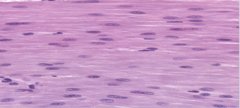 <p>Identify</p>