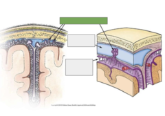 <p>This is the</p>
