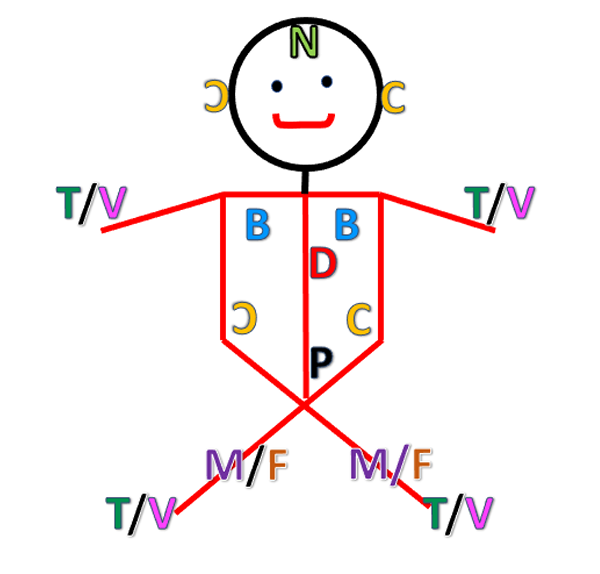 <p>Nitrosoureas (lomustine, carmustine) causes _____</p><p class="ds-markdown-paragraph">a. Cardiotoxicity<br>b. Neurotoxicity (crosses BBB)<br>c. Pulmonary fibrosis<br>d. Nephrotoxicity</p>