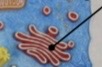 <p>What is this structure?</p>