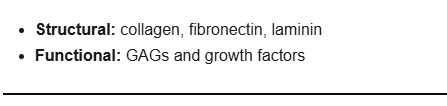 <p>Structural and Functional</p>