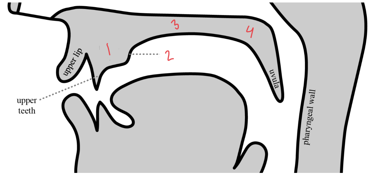 <p>What is 3</p>