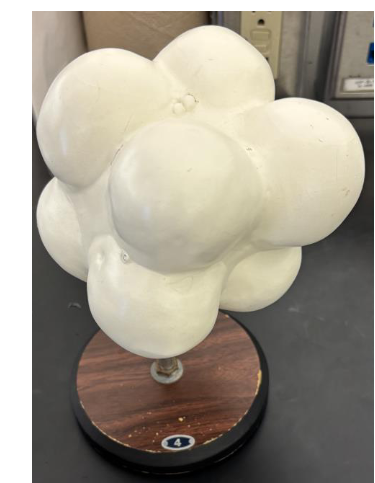 <p>what stage is this </p>