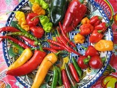 <p>peppers/ chili pepers</p>