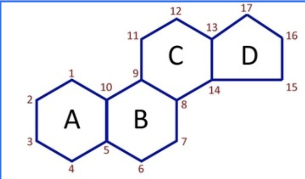 <p>what is this</p>