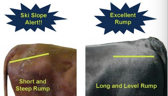 <ul><li><p>good: long and level</p></li><li><p>bad: short and steep (ski slope)</p></li></ul><p></p>