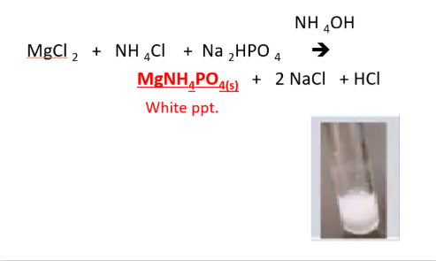 <p><span style="line-height: 0px;">METALLIC IONS​: <strong>Mg</strong></span><span style="background-color: inherit; line-height: 0px;"><strong><sup>2+</sup> (magnesium ion)</strong></span></p>