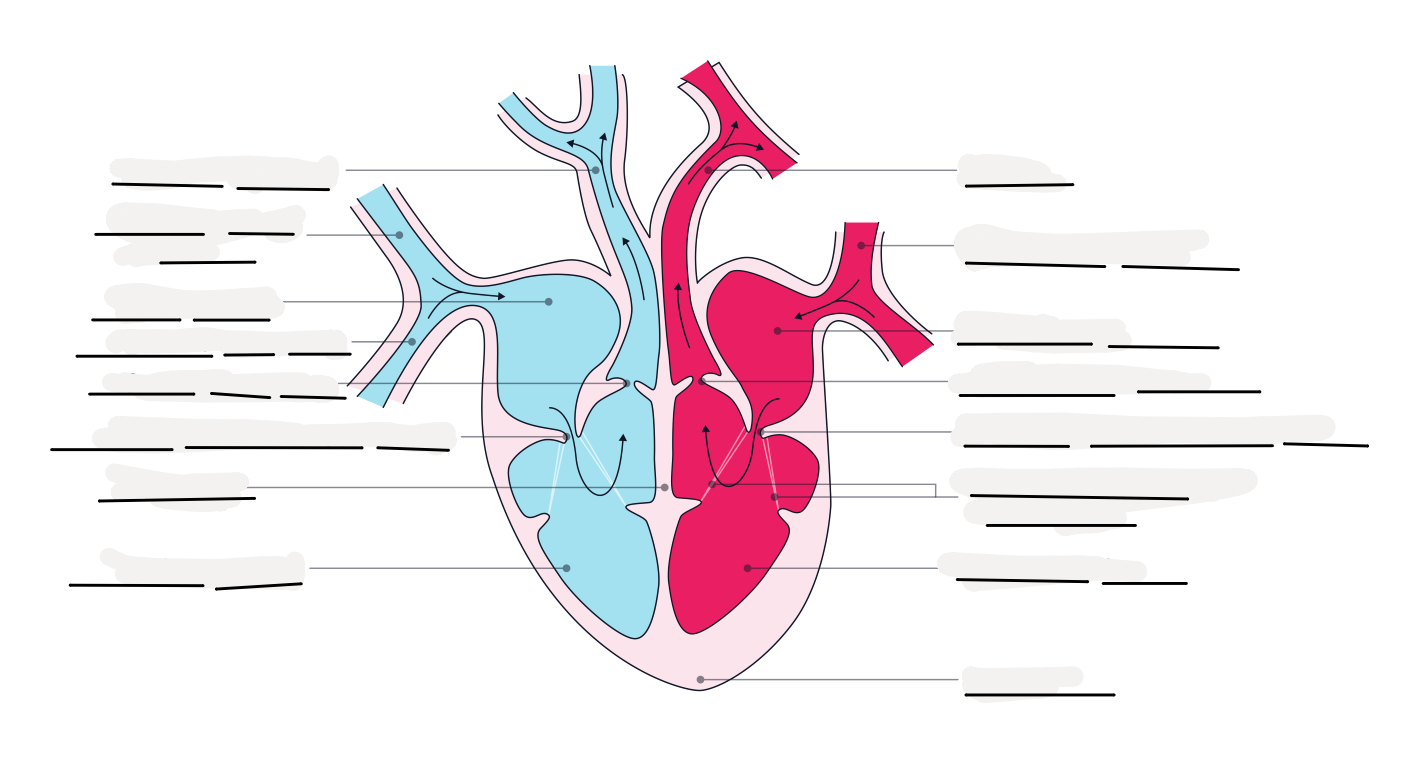<p>fill in the gaps </p>