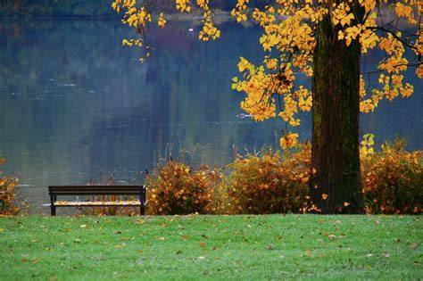 <p>pleasant >< unpleasant</p>