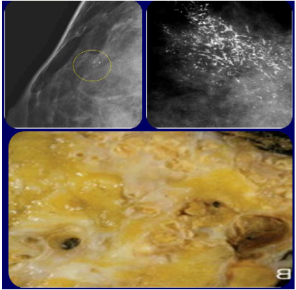 <p>What pathology?</p>