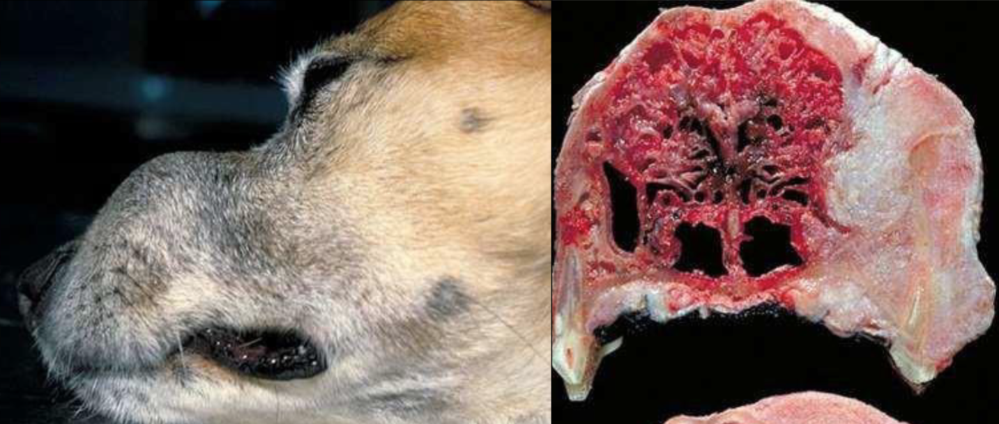 <p>what is this </p>