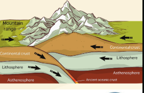 <ul><li><p>Neither plate is dense enough to fully subduct</p></li><li><p>The plates collide and buckle upward </p></li><li><p>Forms: </p><ul><li><p>Large mountain ranges </p></li><li><p>Strong earthquakes </p></li><li><p>Little to no volcanic activity </p></li></ul></li><li><p>Example: Himalayas </p></li></ul><p></p>