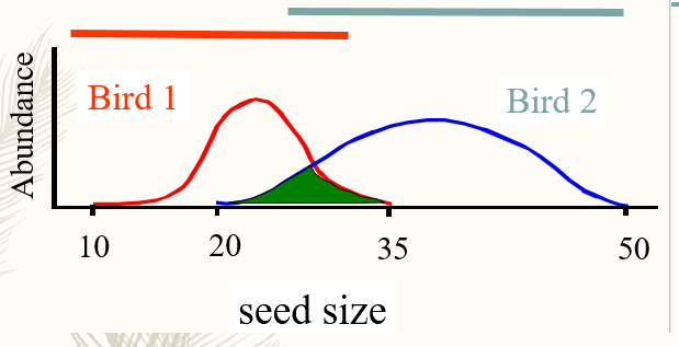<p>Occurs when two niche’s of individuals overlap. If overlap is a limiting resource, competition occurs.</p><p>Bird 1 has more overlap</p><p>Bird 2 has more range</p><p>Bird 1 will be more affected by the niche overlap if Bird 2 can outcompete Bird 1.</p>