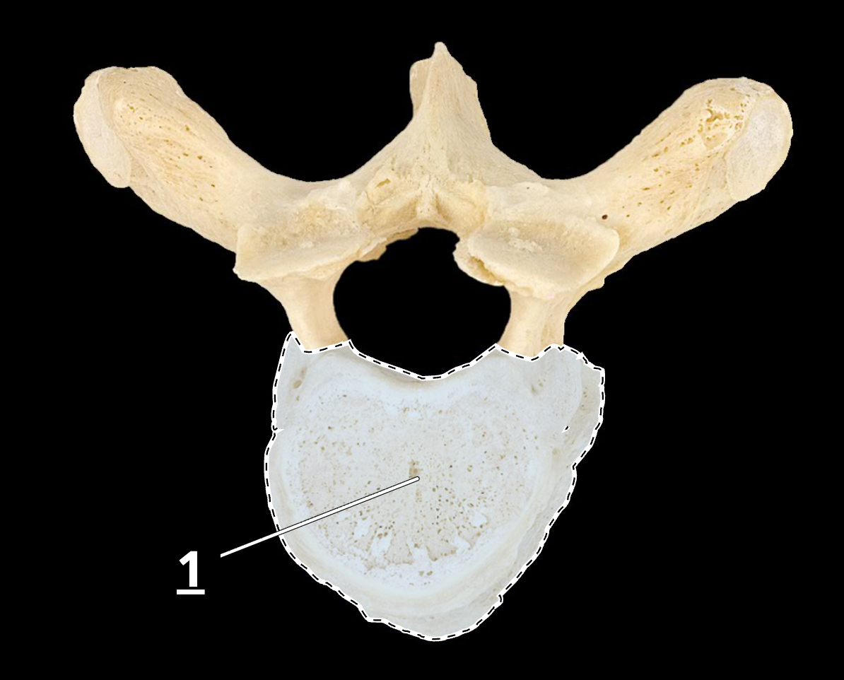 <p>1</p>