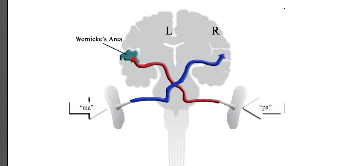 <p>What does this image show?</p>