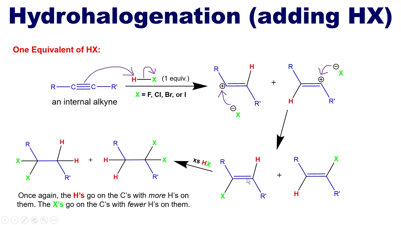 <p>unlike with alkanes, the H’s cannot go on the C’s with more H’s and the X’s cannot go on the C’s with fewer H’s on them. This leads to a forming of two different products </p>
