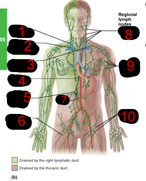What is #4?