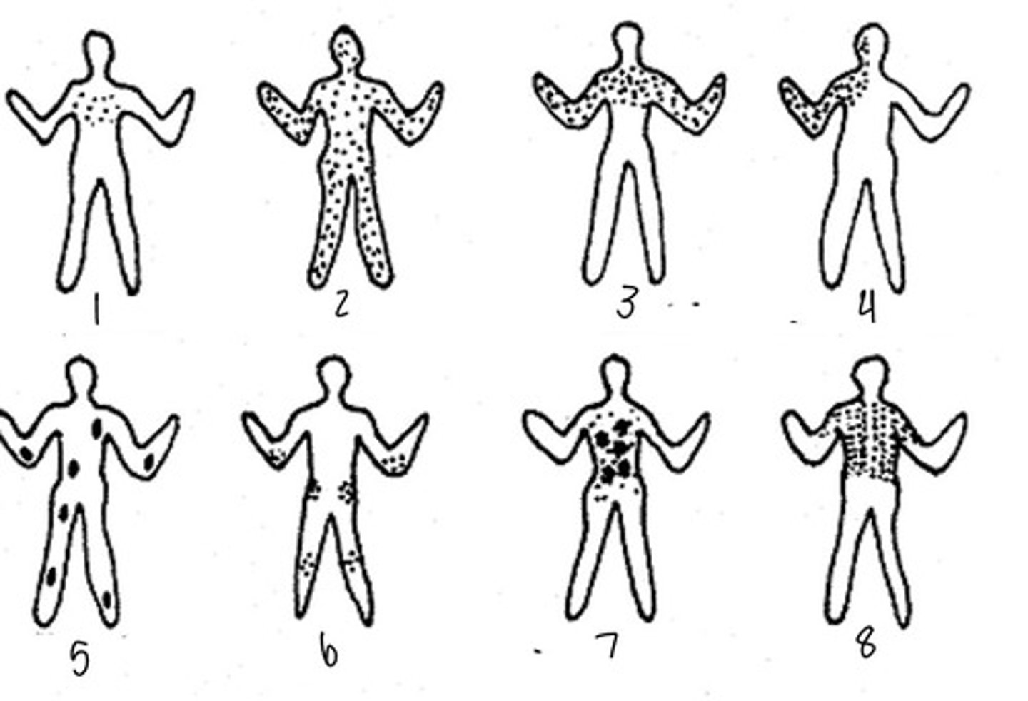 <p>6</p>