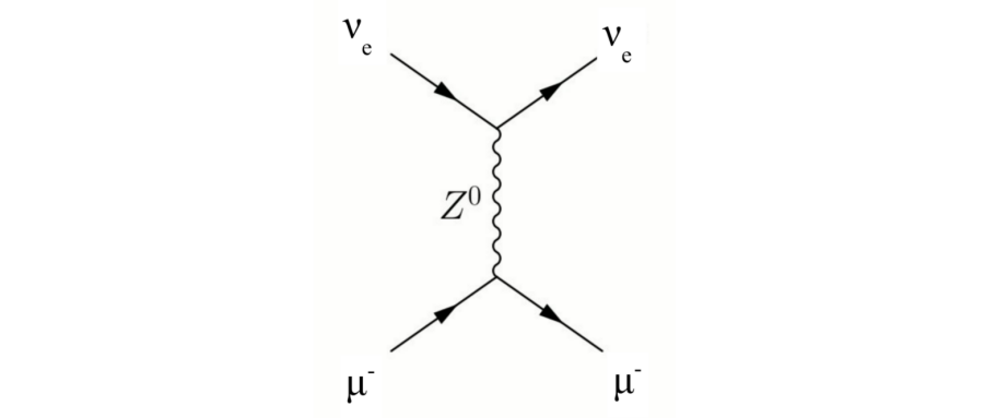 <p>Processes that look like: $$\nu_e + \mu^- → \nu_e+\mu^-$$ , or $$\nu_\mu+N→ \nu_\mu + \text{Hadrons}$$.</p><p>These processes can only occur via $$Z^0$$ bosons, (as $$W^\pm$$ bosons would result in a violation of lepton number or charge).</p><ul><li><p>The process $$\nu_\mu+\mu^- → \nu_\mu+\mu^-$$, for example, can go via either W or Z exchange.</p></li><li><p>The process $$\nu_mu+N→ \mu^-+\text{Hadrons}$$, for example, can go via either W or Z exchange.</p></li></ul><p></p>