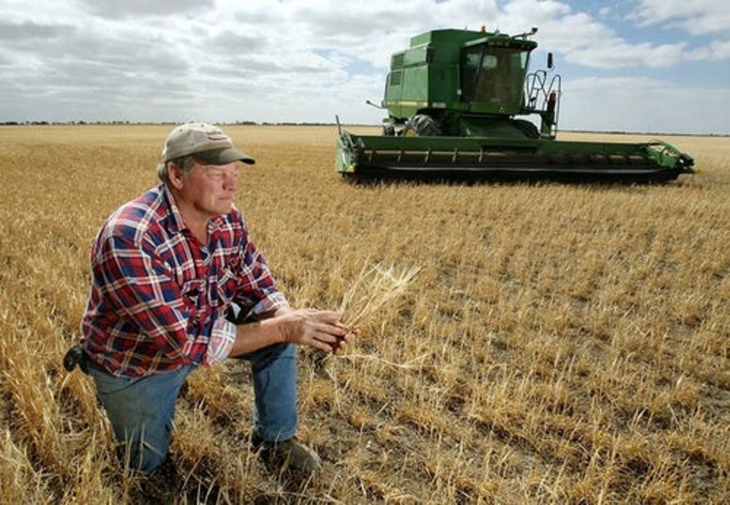 <p>farmer</p>
