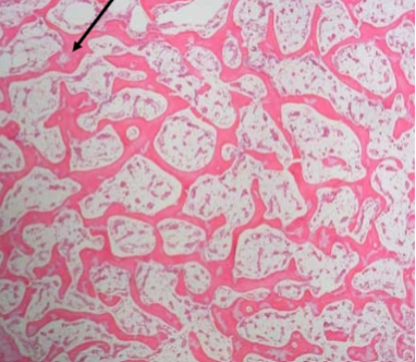 <p>Slide 27</p>
