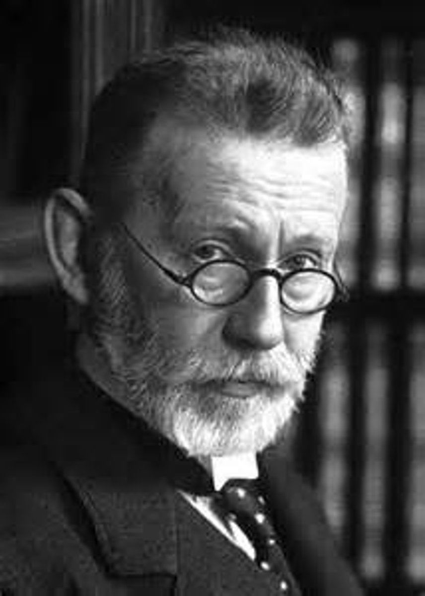 <p>He dreamed of "magic bullets" that could hunt down and destroy diseases.</p>