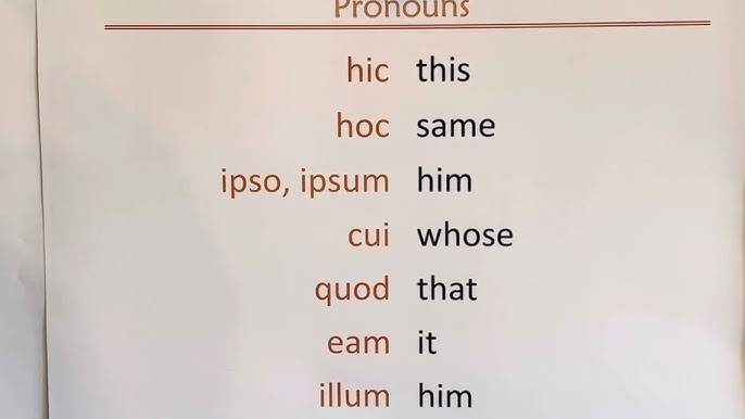 <p>hic — this </p><p>hoc — same </p><p>ipso, ipsum — him </p><p>cui — whose </p><p>quod — that </p><p>eam — it </p><p>illum — him</p>